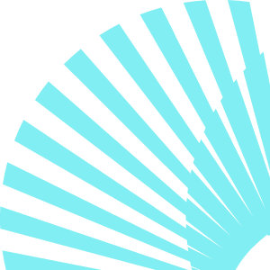 Promo icon
